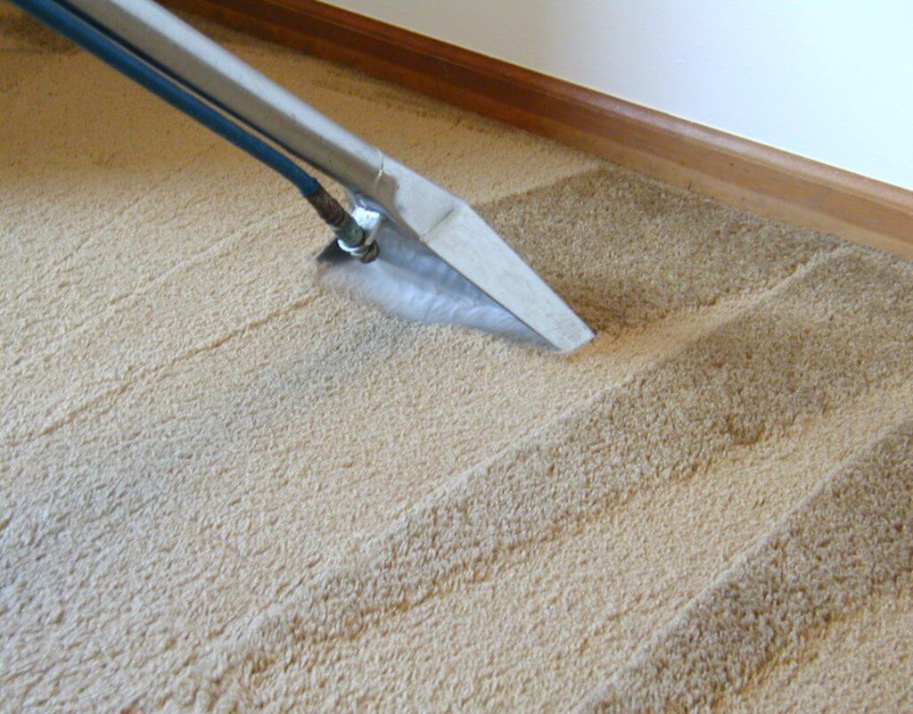 steamaid carpet cleaning service