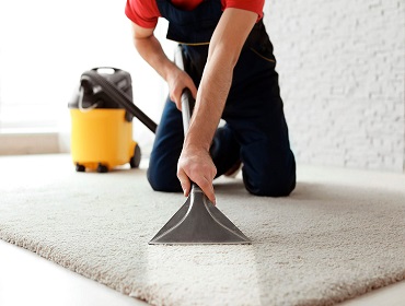 Steamaid Carpet Cleaning