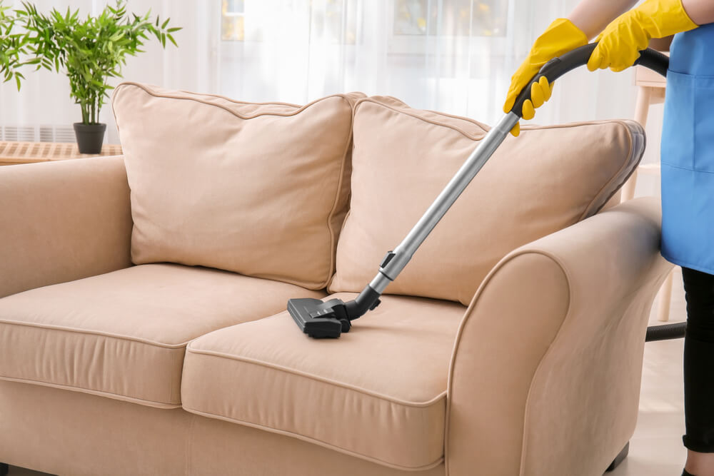 Upholstery Steam Cleaning 2354 