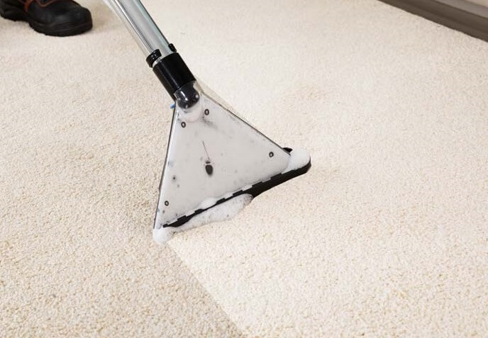 steamaid carpet dry cleaning